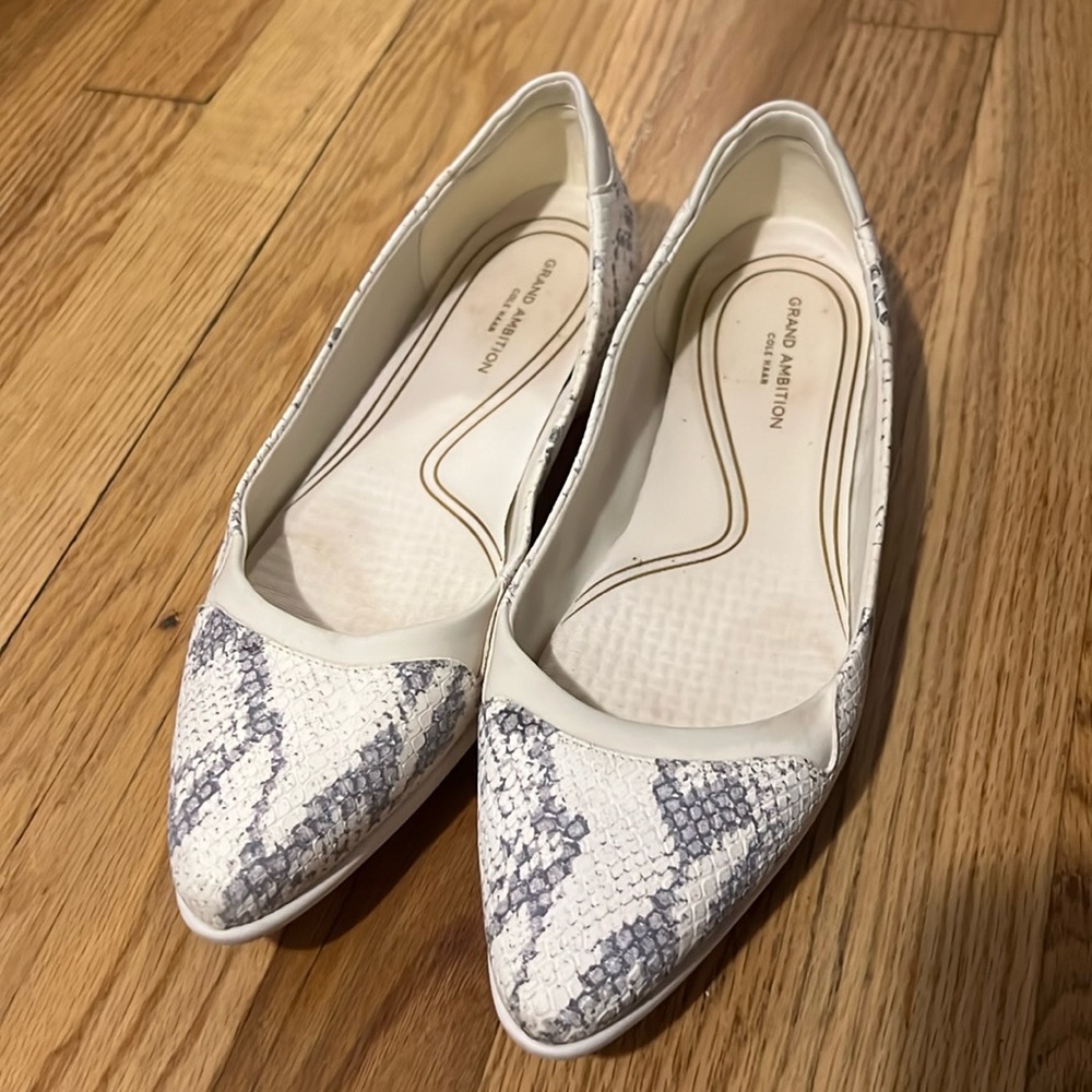 Cole haan grand ambition